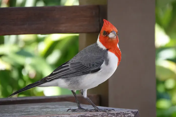 Honolulu, USA - Photo 39