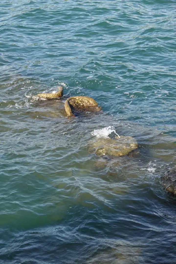 Honolulu, USA - Photo 4