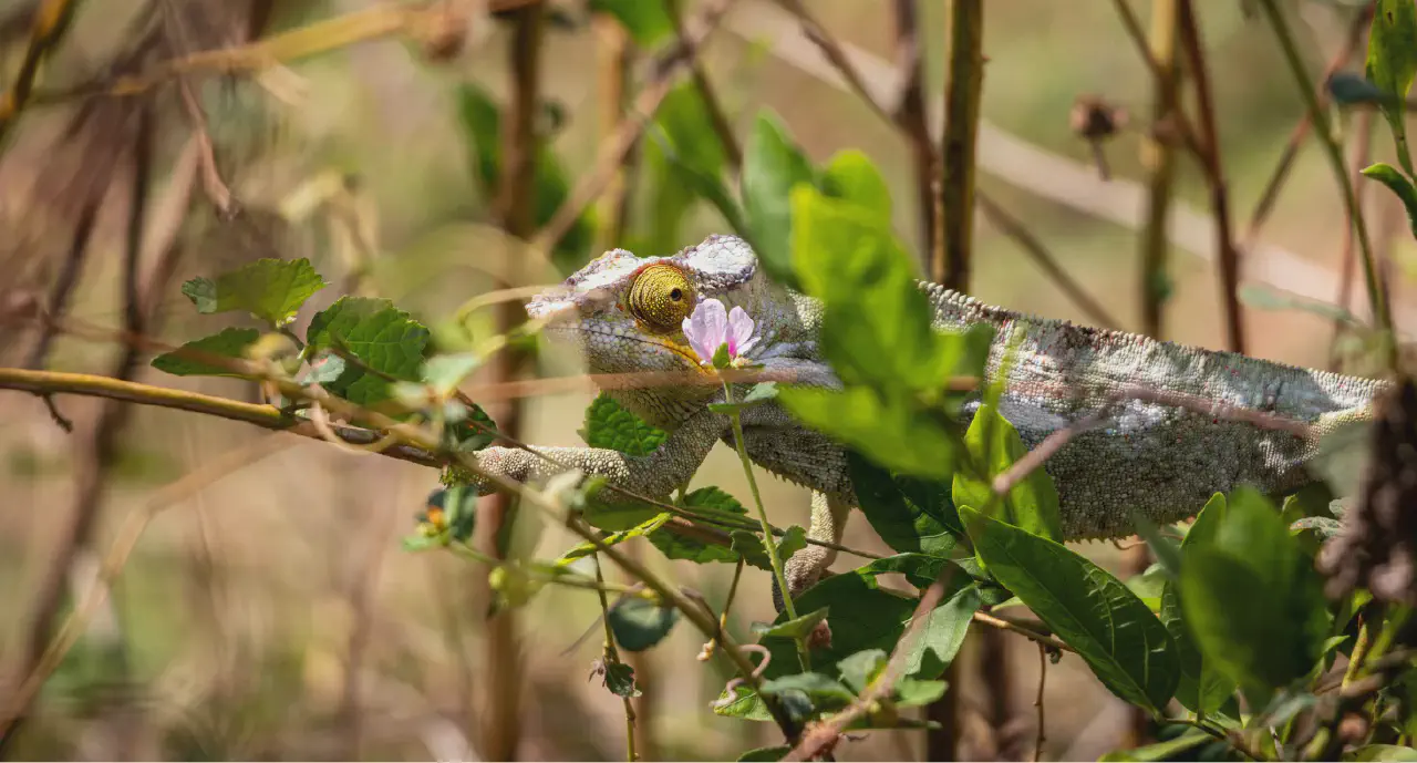 Hell-Ville, Madagaskar