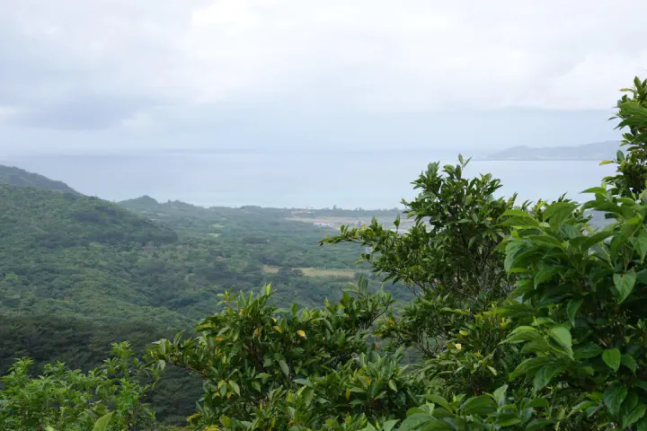 Ishigaki, Japan - Photo 13