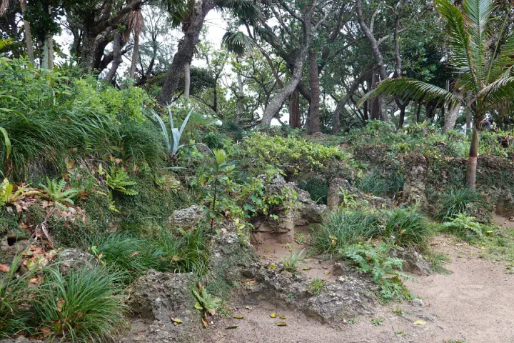 Ishigaki, Japan - Photo 19