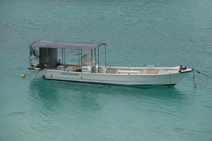 Ishigaki, Japan - Photo 24