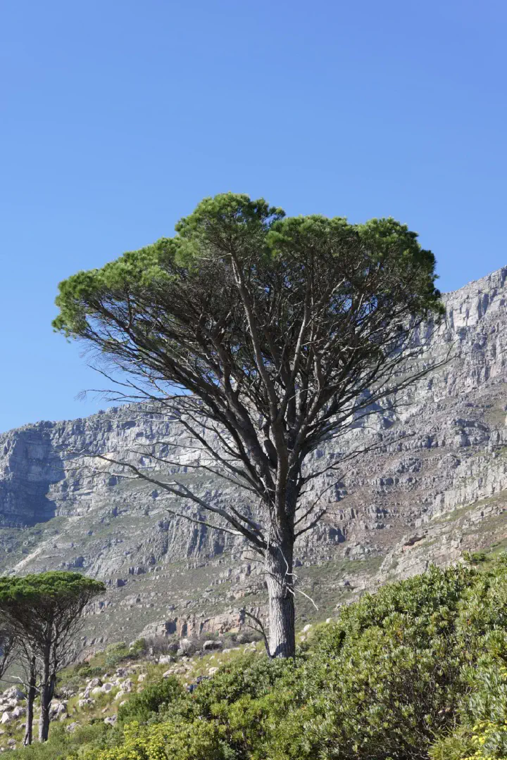 Kapstadt, Südafrika - Photo 4