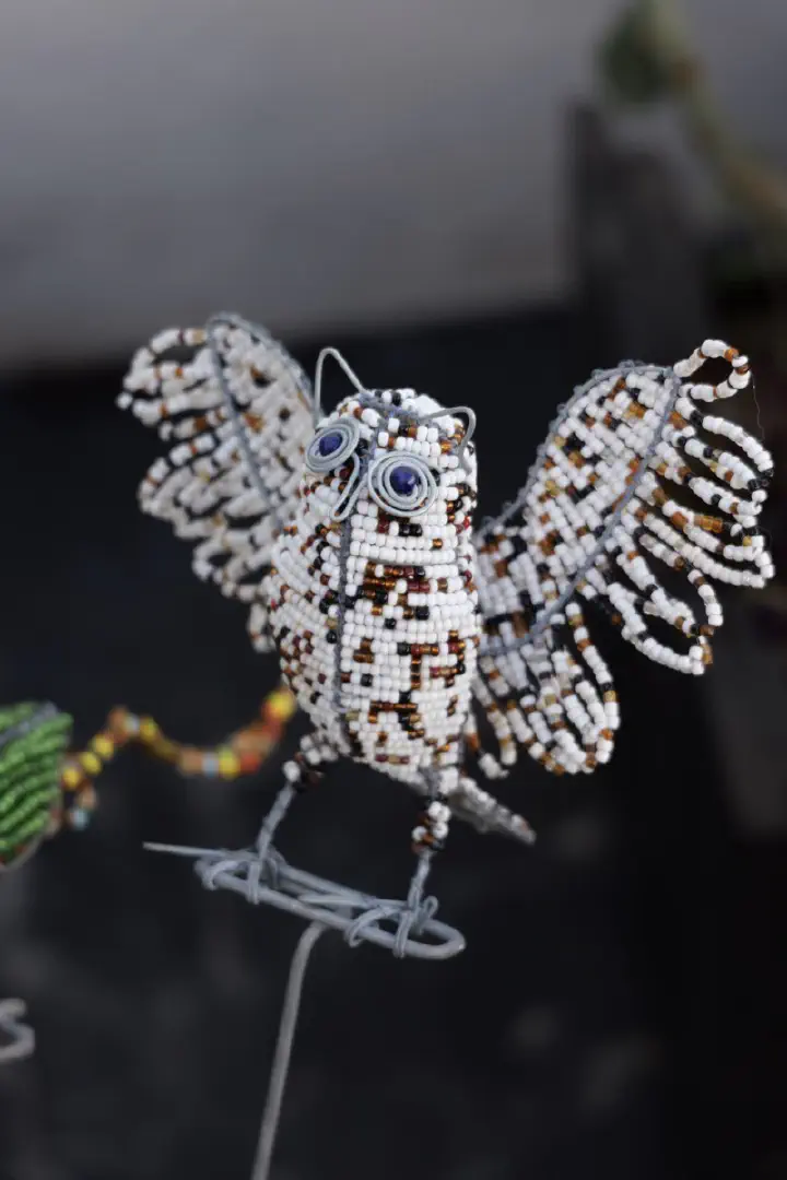 Kapstadt, Südafrika - Photo 46