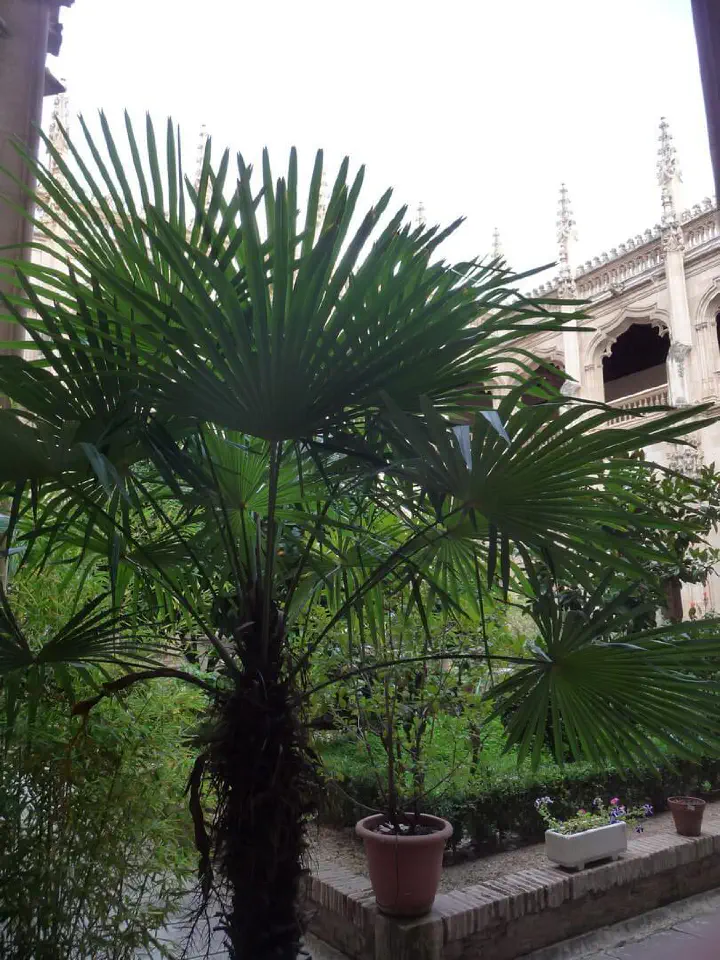 Kastilien, Spanien - Photo 23