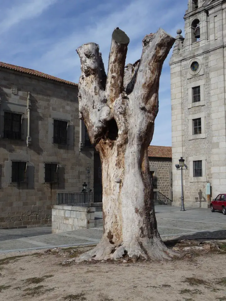 Kastilien, Spanien - Photo 16