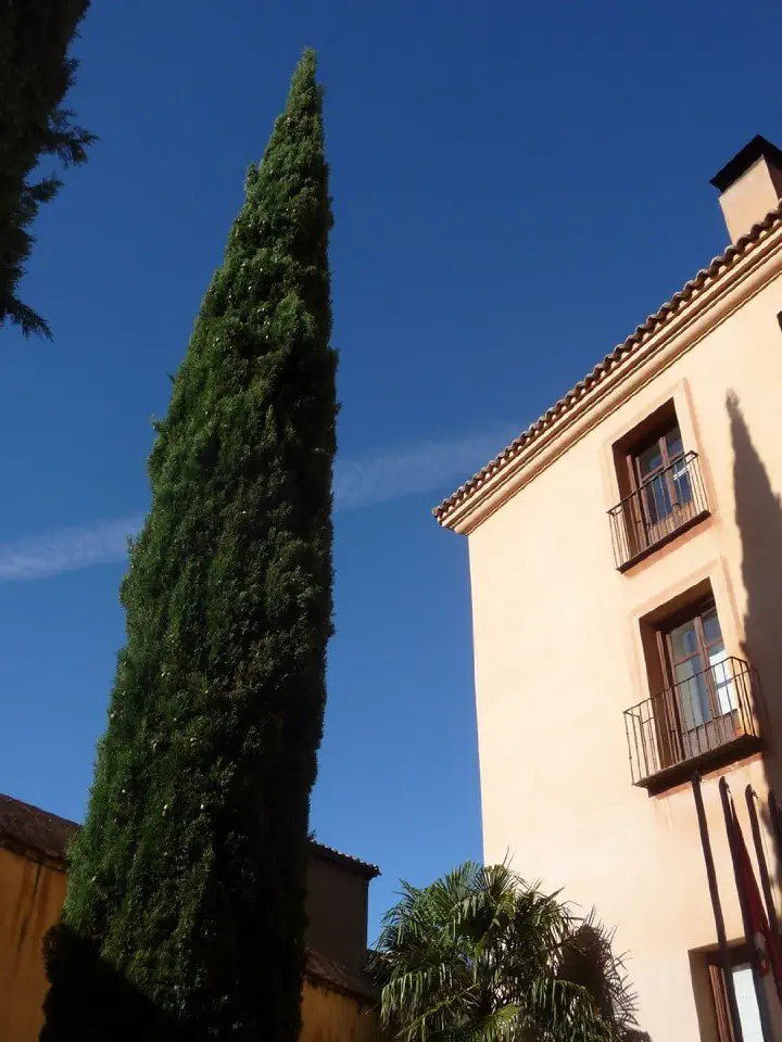 Kastilien, Spanien - Photo 7