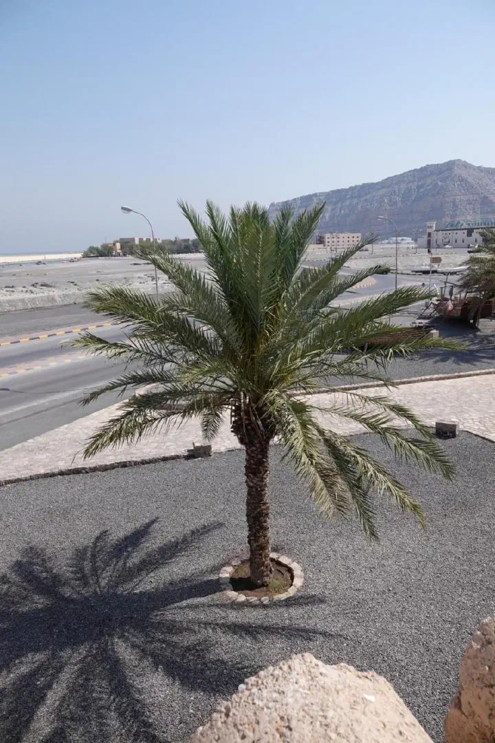 Khasab, Oman - Photo 12