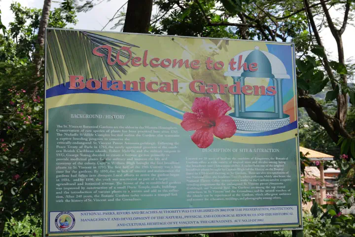 Kingstown, St. Vincent - Photo 9