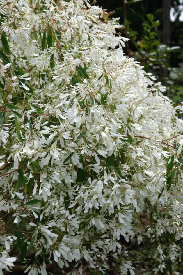 Kingstown, St. Vincent - Photo 14