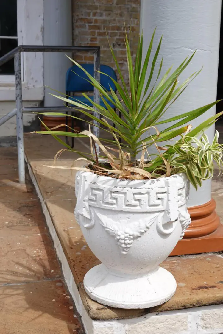 Kingstown, St. Vincent - Photo 22