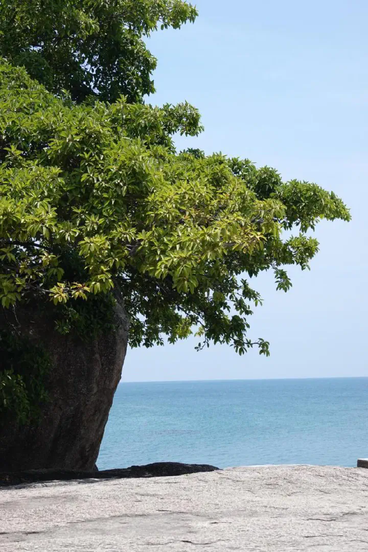 Koh Samui, Thailand - Photo 9