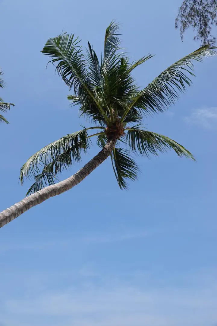 Koh Samui, Thailand - Photo 18