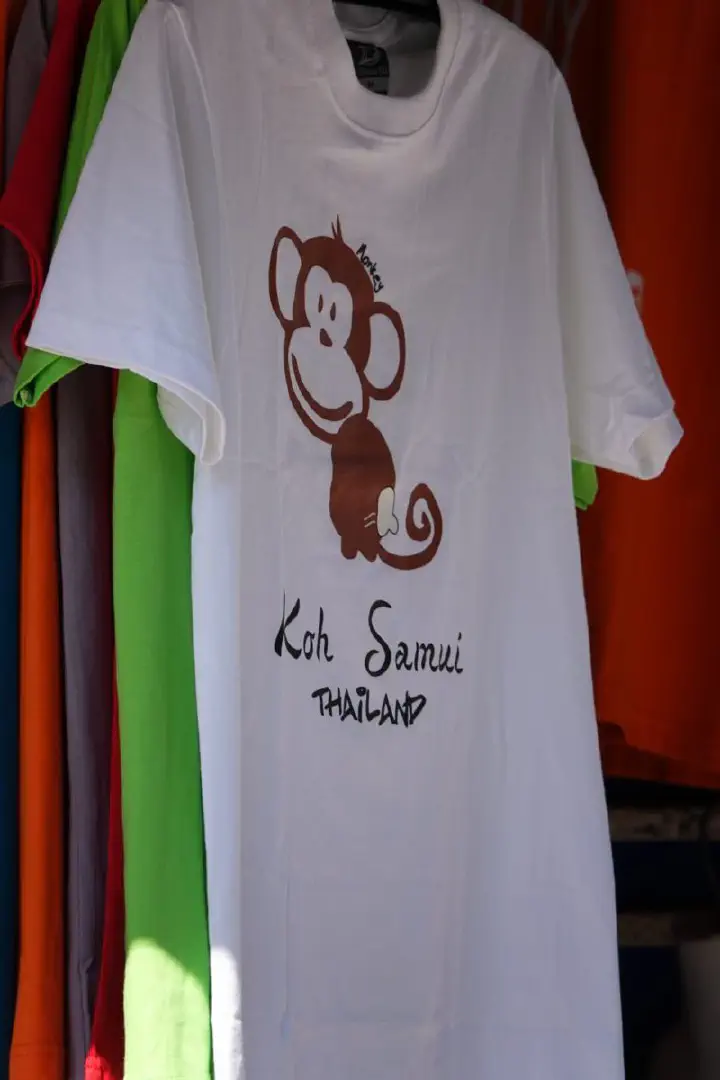 Koh Samui, Thailand - Photo 28