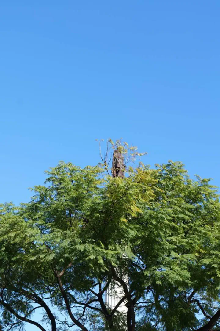 Lissabon, Portugal - Photo 28