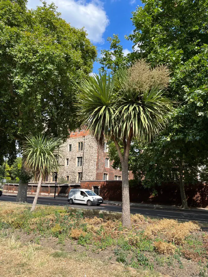 London, Vereinigtes Königreich - Photo 20