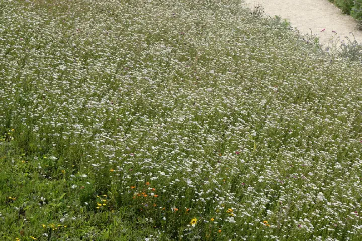 London, Vereinigtes Königreich - Photo 4