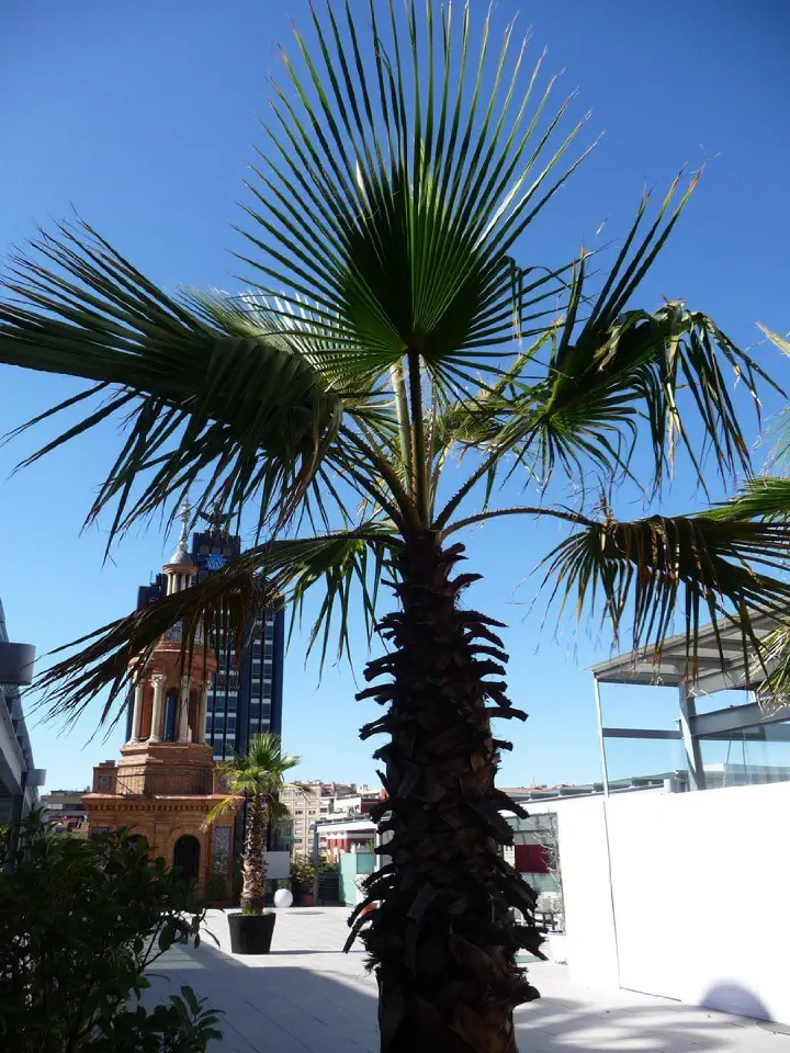 Madrid, Spanien - Photo 6