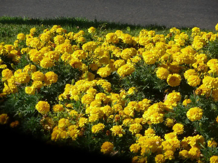 Madrid, Spanien - Photo 29