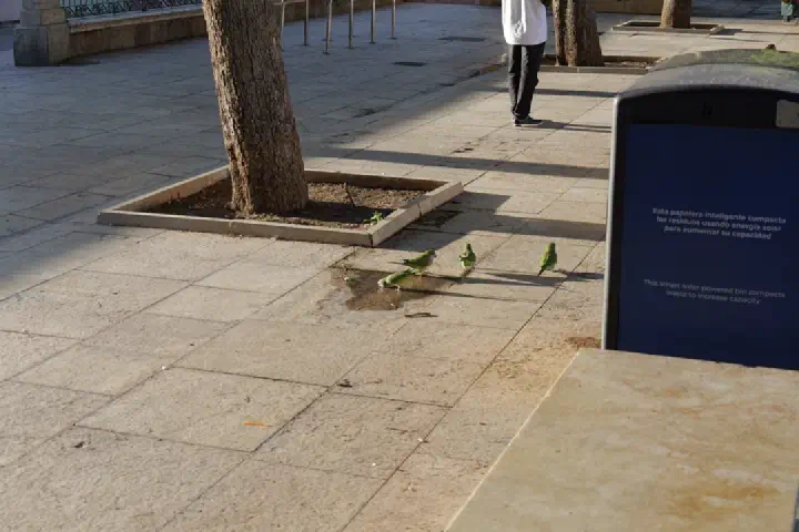 Málaga, Spanien - Photo 7
