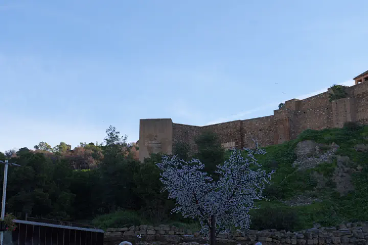 Málaga, Spanien - Photo 20