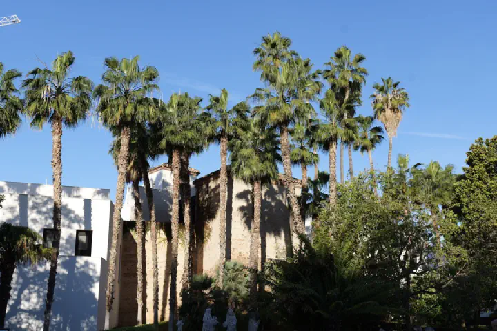 Málaga, Spanien - Photo 22