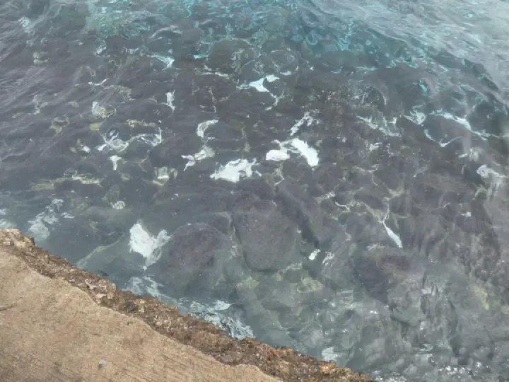 Malé, Maldiven - Photo 20