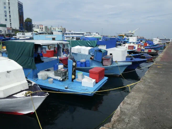 Malé, Maldiven - Photo 21