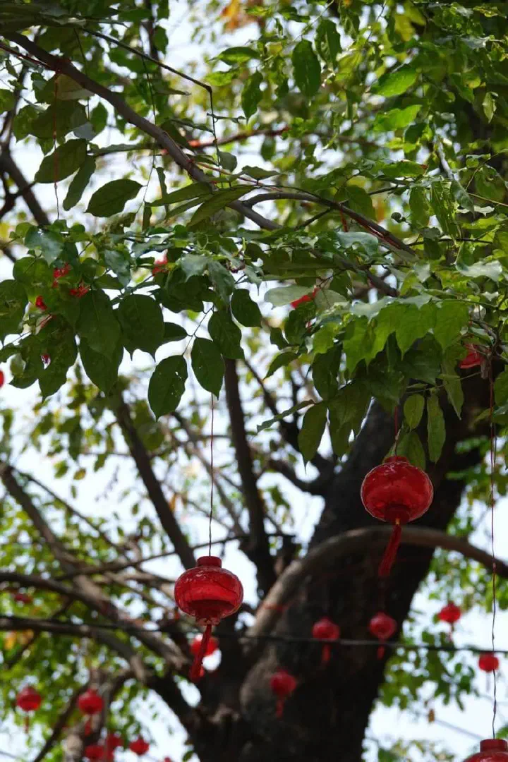 Manila, Philippinen - Photo 14