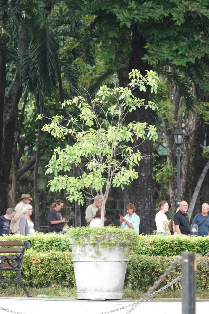 Manila, Philippinen - Photo 28