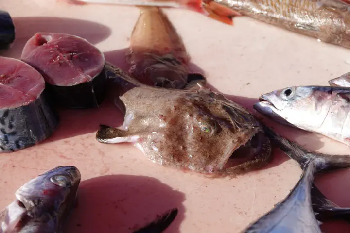 Marseille, Frankreich - Photo 12