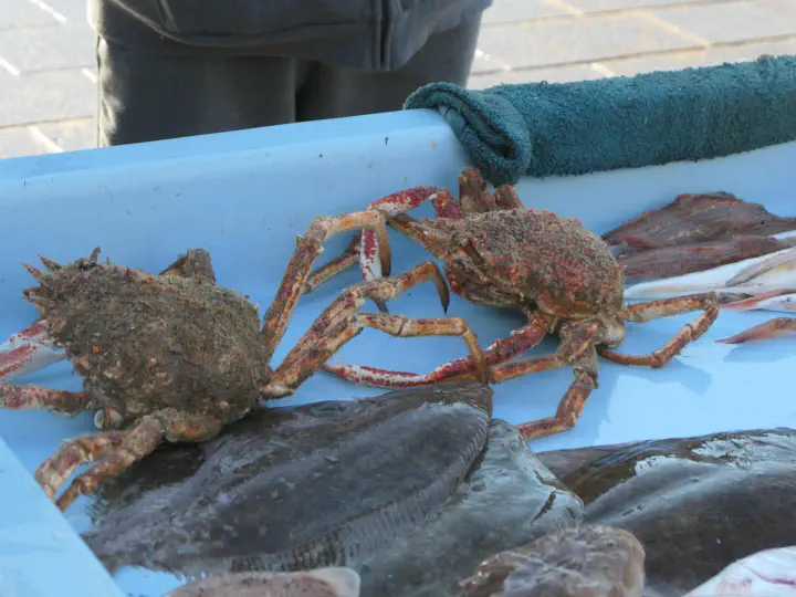 Marseille, Frankreich - Photo 13