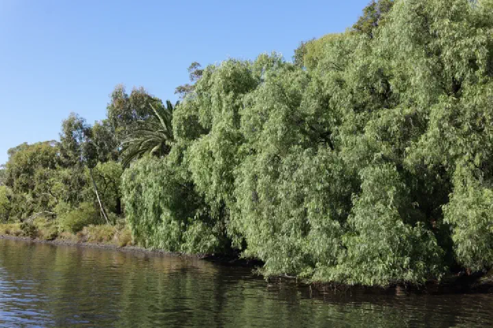 Melbourne, Australien - Photo 18