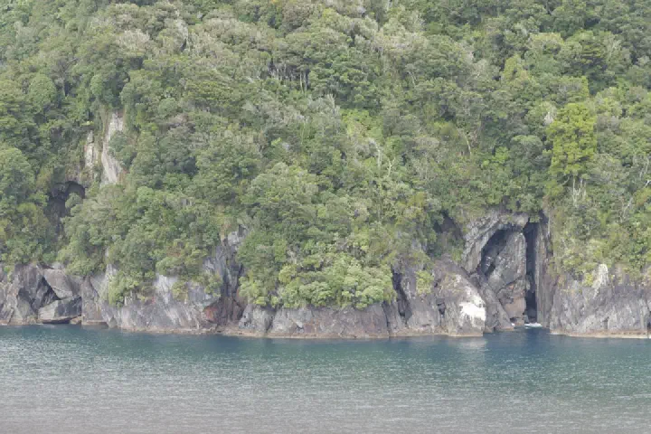 Milford Sound, Neuseeland - Photo 6