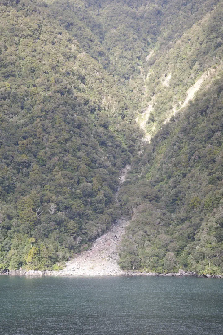 Milford Sound, Neuseeland - Photo 7