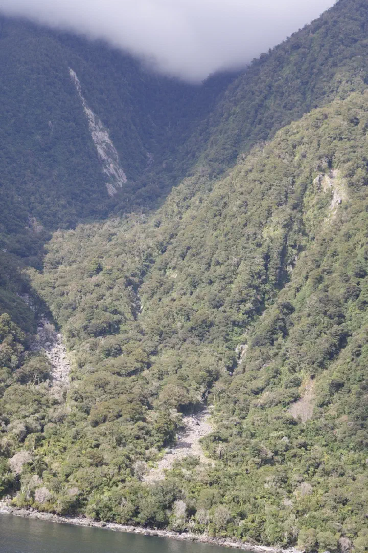 Milford Sound, Neuseeland - Photo 8