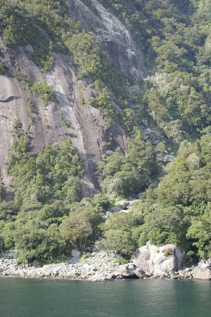 Milford Sound, Neuseeland - Photo 10