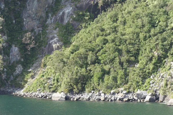 Milford Sound, Neuseeland - Photo 12