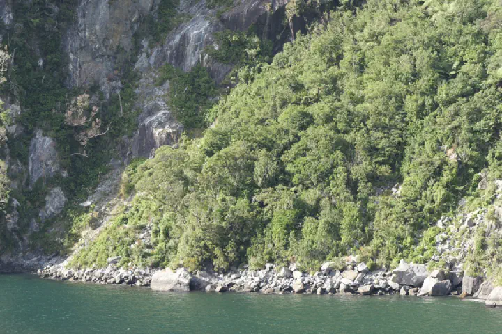 Milford Sound, Neuseeland - Photo 12