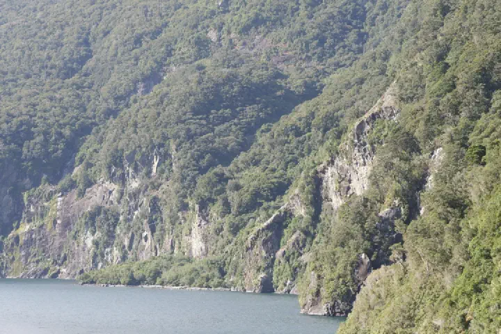 Milford Sound, Neuseeland - Photo 13