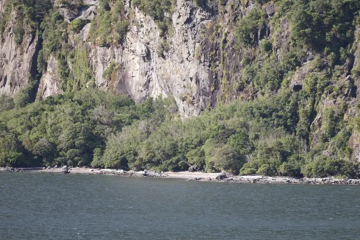 Milford Sound, Neuseeland - Photo 15