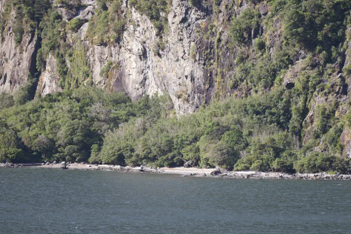 Milford Sound, Neuseeland - Photo 15