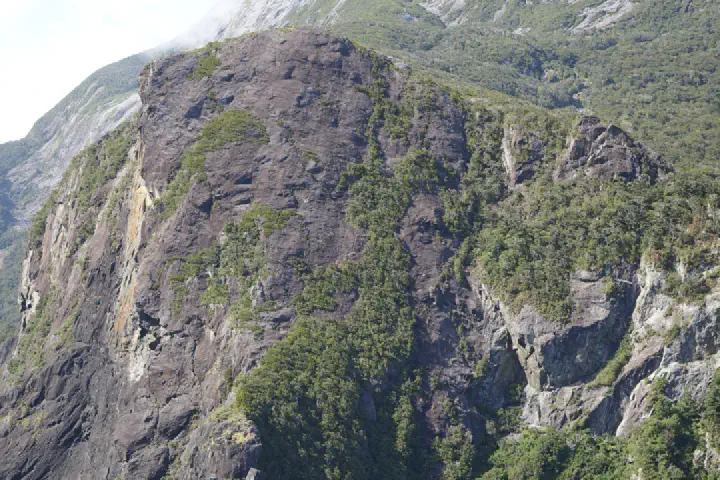 Milford Sound, Neuseeland - Photo 16