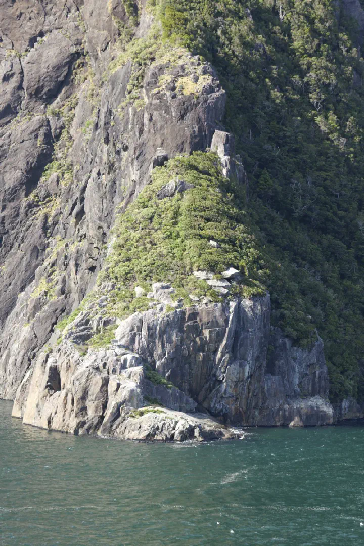 Milford Sound, Neuseeland - Photo 17