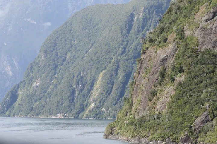 Milford Sound, Neuseeland - Photo 19