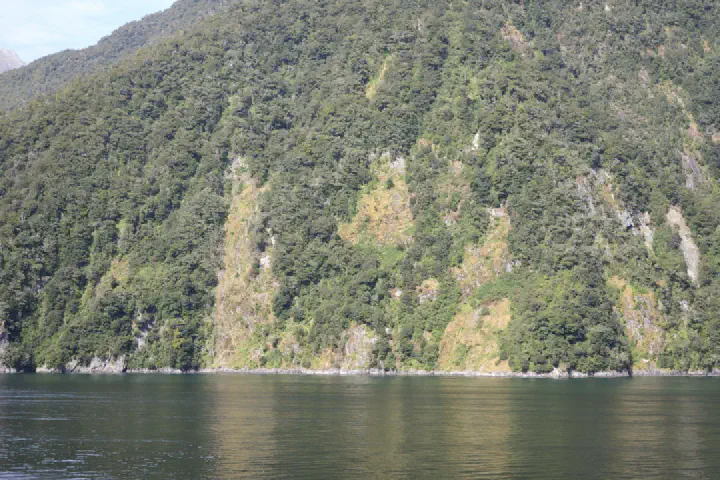 Milford Sound, Neuseeland - Photo 21