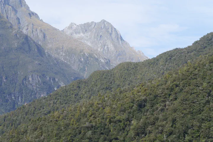 Milford Sound, Neuseeland - Photo 22