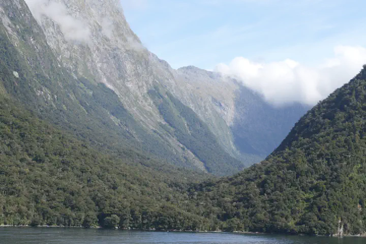 Milford Sound, Neuseeland - Photo 23