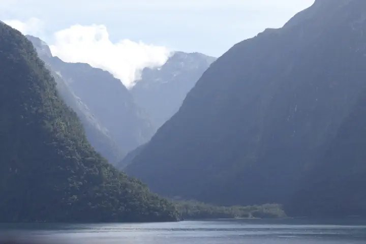 Milford Sound, Neuseeland - Photo 27