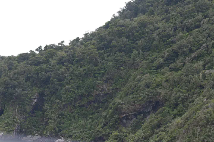 Milford Sound, Neuseeland - Photo 30